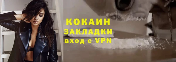 молекула духа Переславль-Залесский