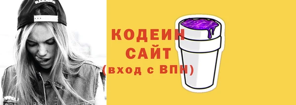 молекула духа Переславль-Залесский