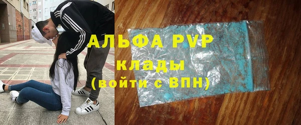 амф Пестово