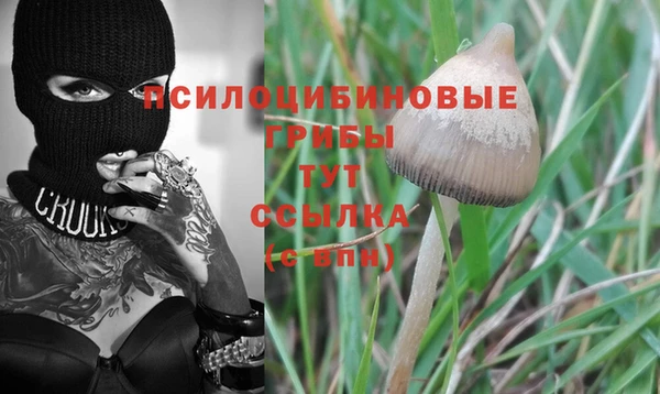 мескалин Пересвет