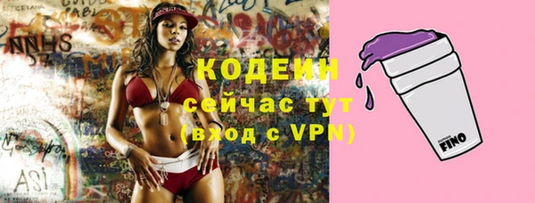 амф Пестово