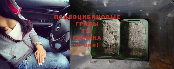 амф Пестово