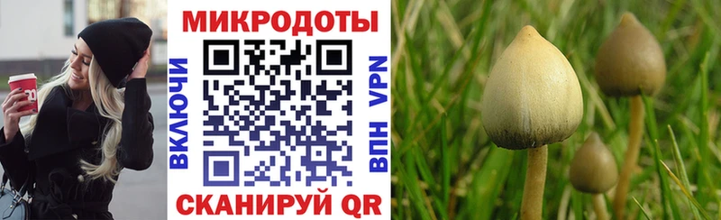Псилоцибиновые грибы мухоморы цена наркотик Балабаново