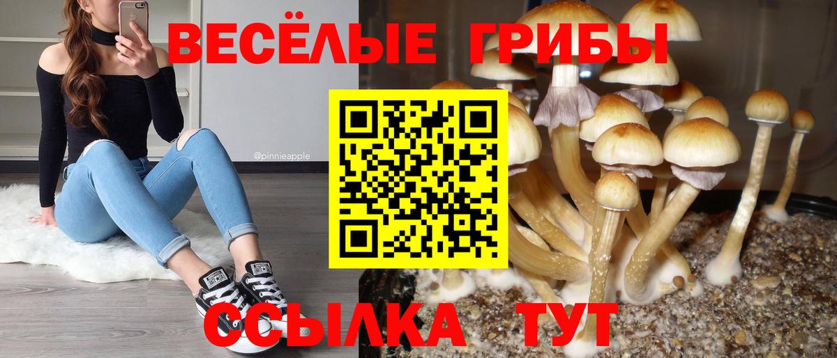 Галлюциногенные грибы GOLDEN TEACHER Балабаново
