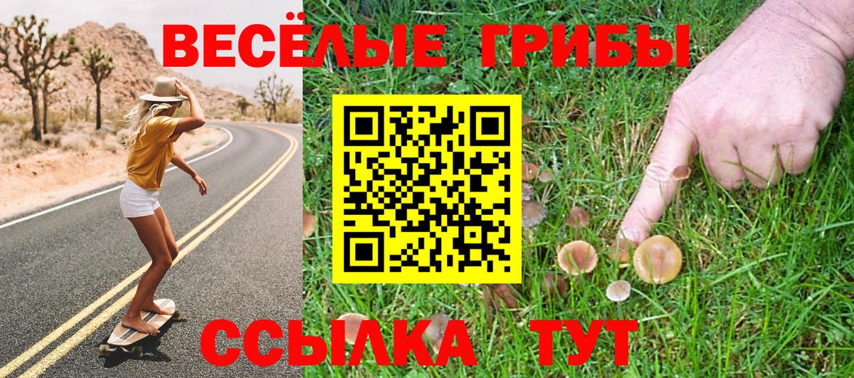 Балабаново  купить   Вход с VPN  Галлюциногенные грибы Psilocybe 